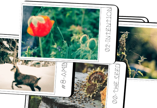 Collage of the Motivation with Elements deck cards