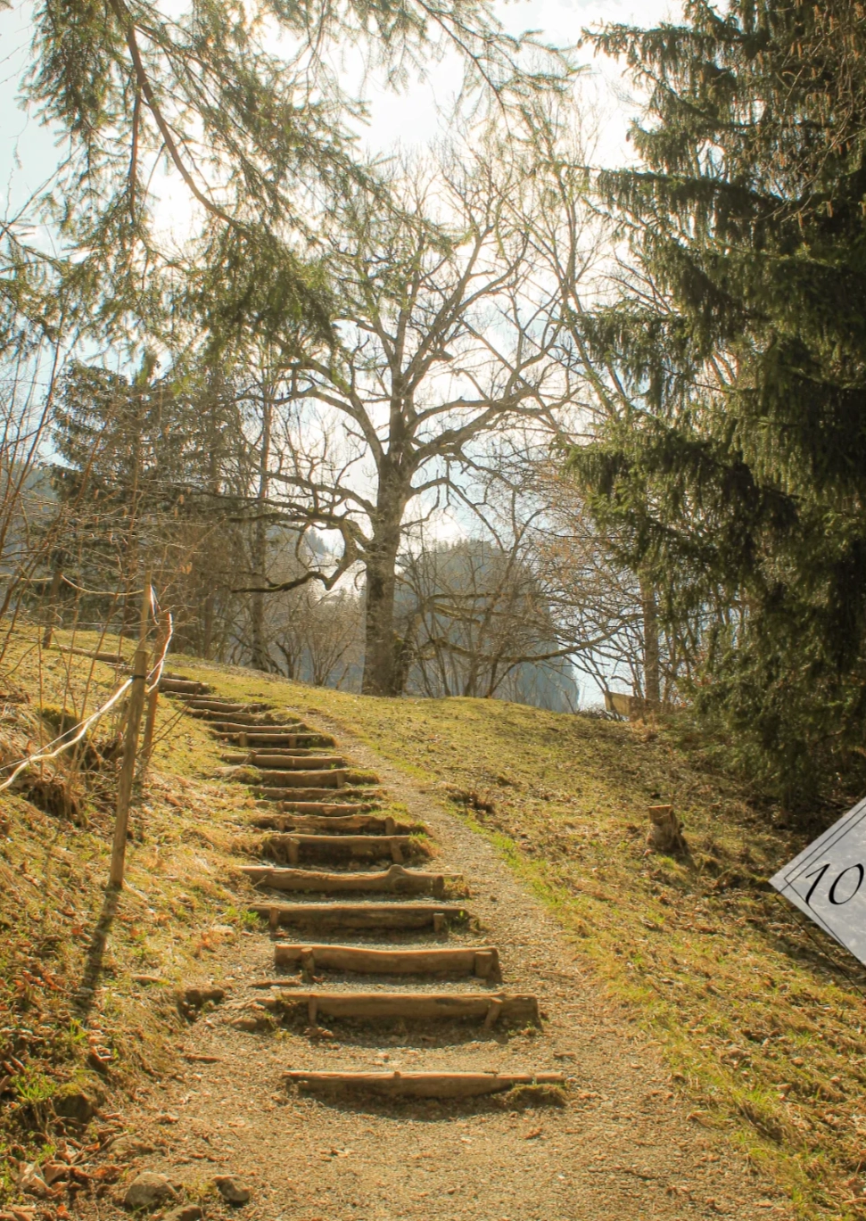 Intuitive Goal-setting — for living your truth